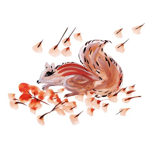 Watercolor Squirrel  vector