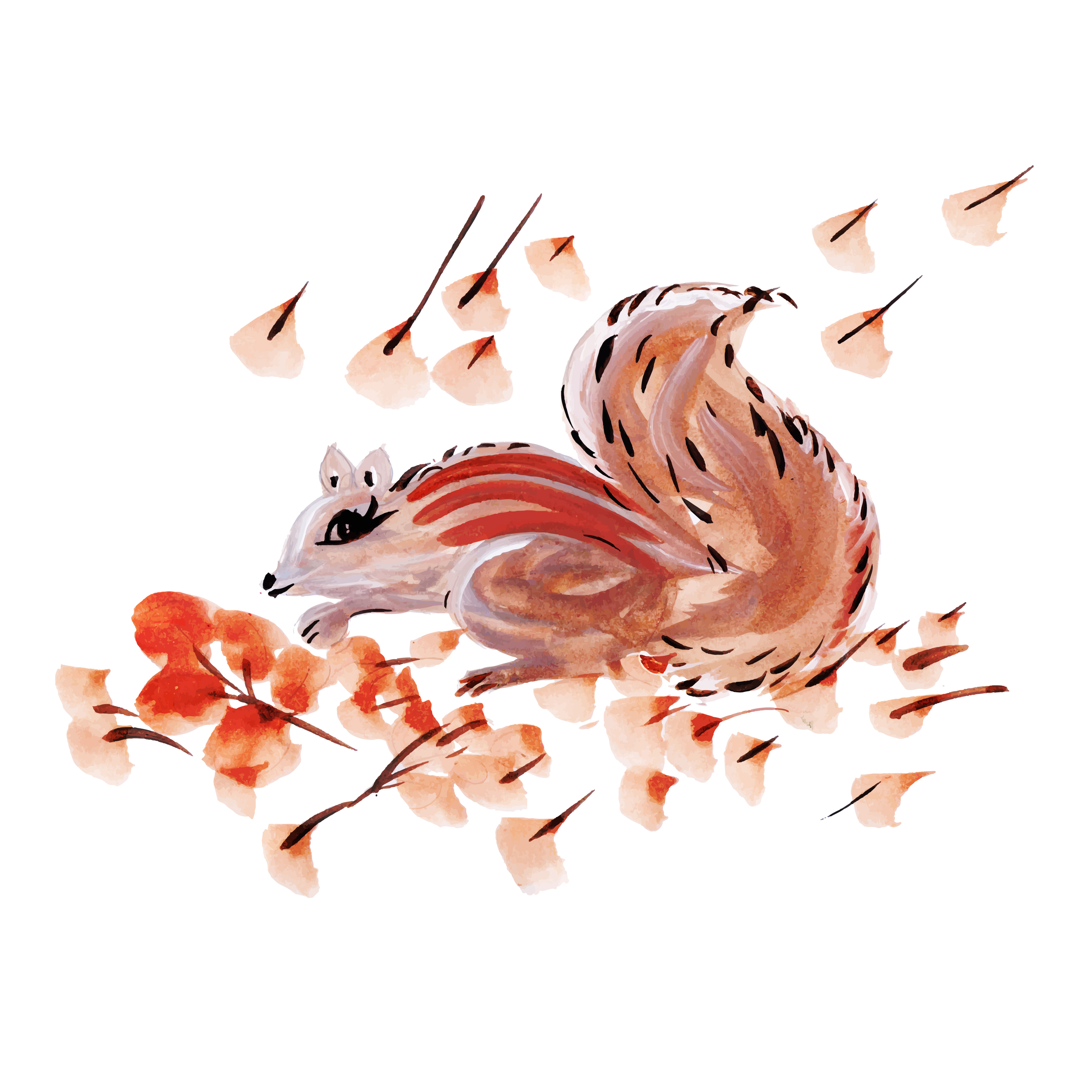 Watercolor Squirrel 670095 - Download Free Vectors ...