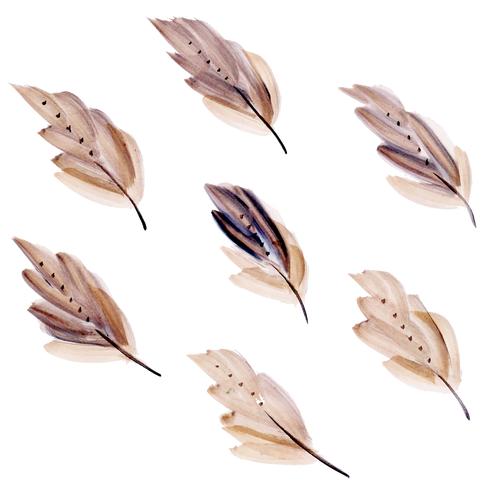 Set of Watercolor Leaves  vector