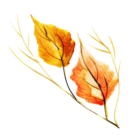 Beautiful Watercolor Autumn Element vector