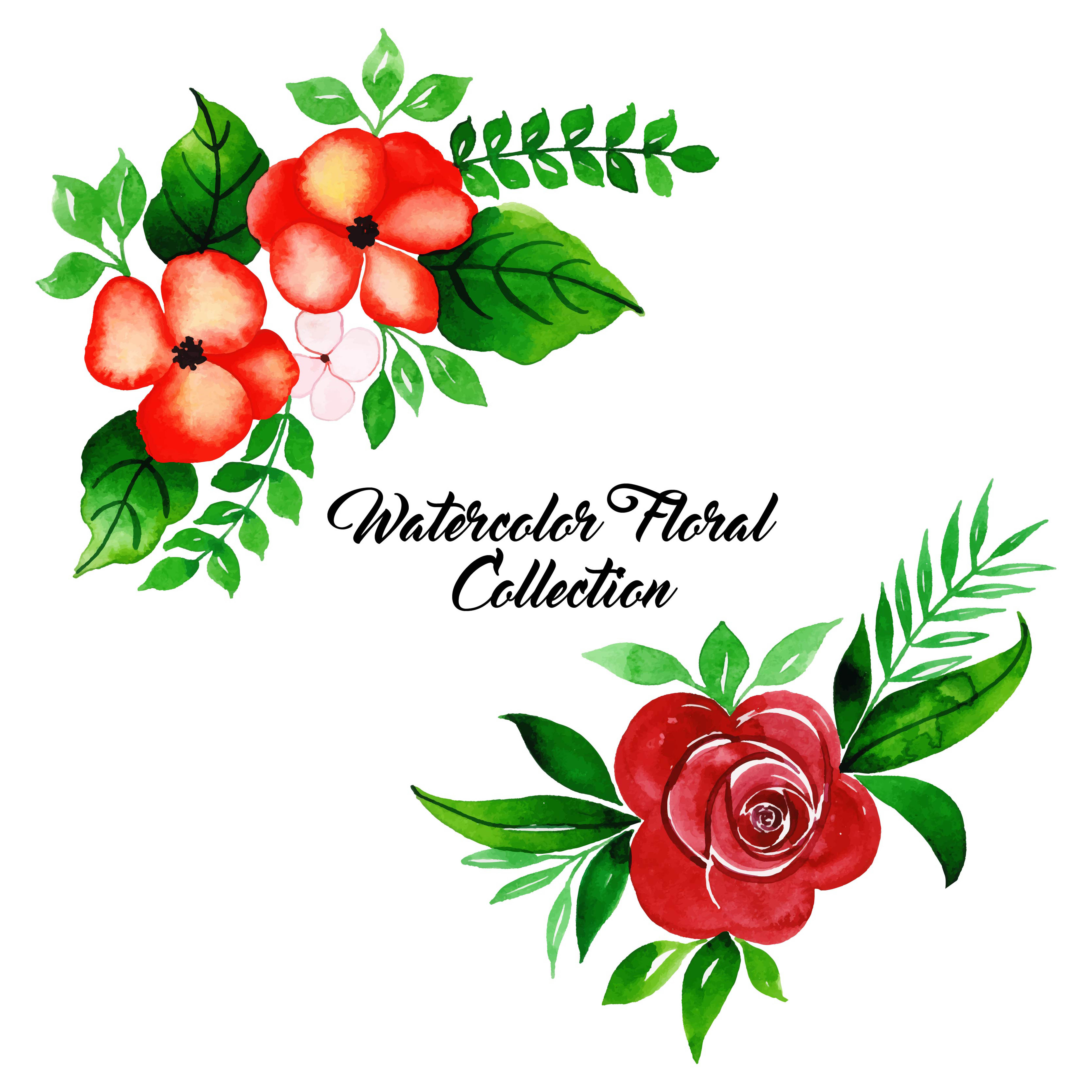 free floral clipart collection