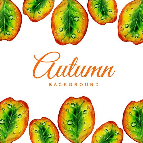 Rainy Autumn Leaves Background vector