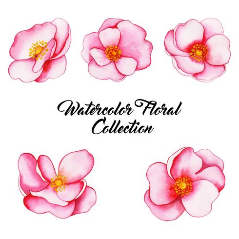 Watercolor Floral Collection vector