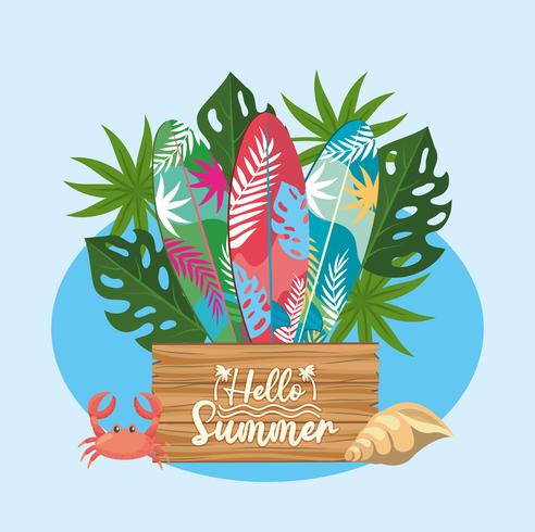 Hello summer wooden sign with surfboards and plants  vector