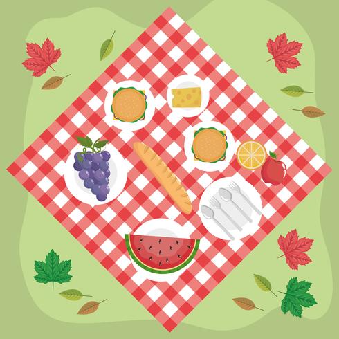 Aerial view of food on picnic blanket  vector