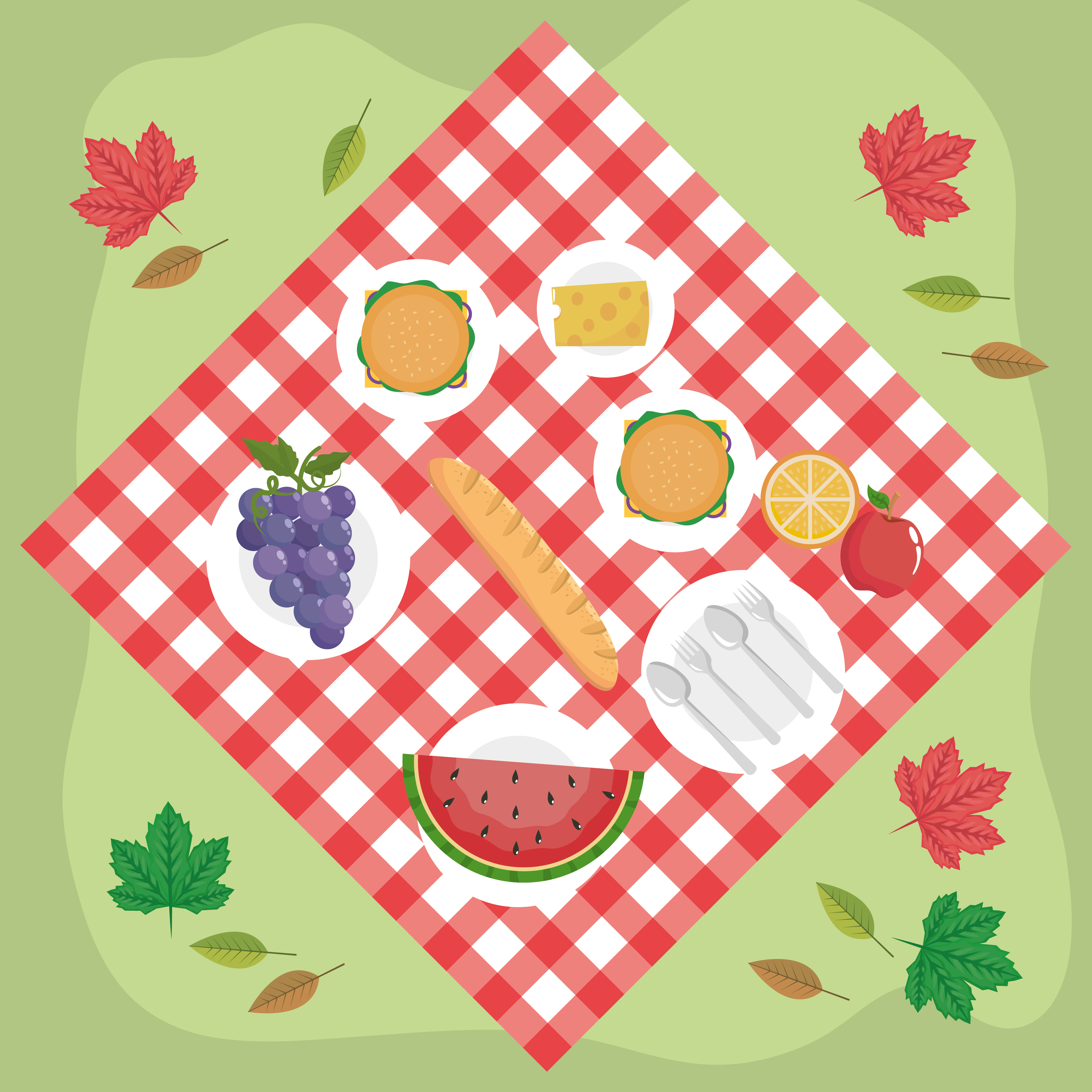 Download the Aerial view of food on picnic blanket 670457