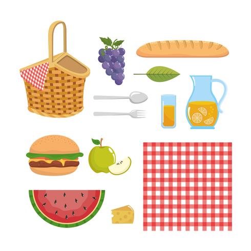 Set of picnic elements and objects  vector