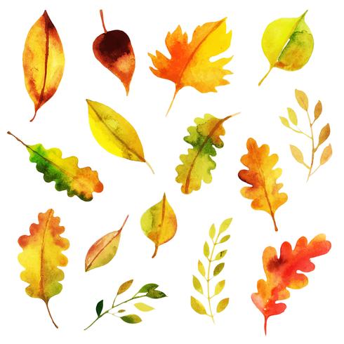 Colección de hojas de otoño vector