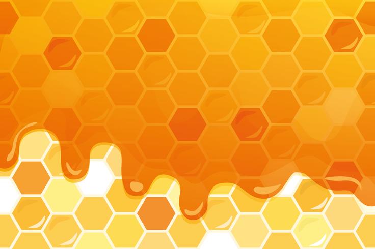 Sweet honey glossy background with copy space for your text vector