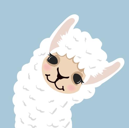 Cute lama alpaca head  vector