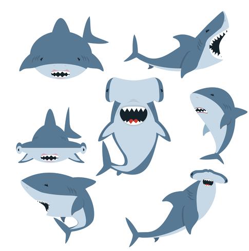 Conjunto de tiburones blancos y tiburones martillo vector