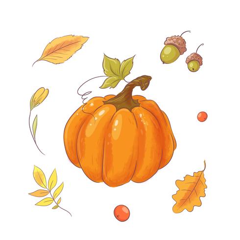 Hand drawn pumpkin and leaves. vector