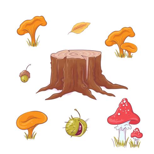 Hand drawn forest stump, mushrooms and berries and autumn leaves. vector