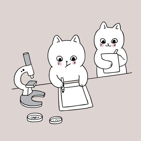 back to school cat in science classroom  vector