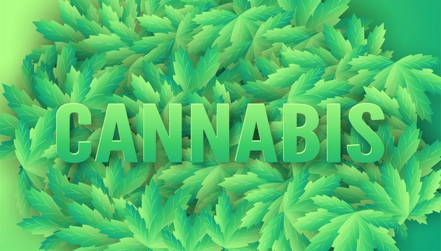 Cannabis Leaves with word Cannabis on top vector