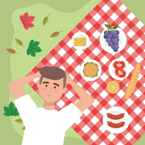 Aerial view of man relaxing on picnic blanket with picnic food  vector