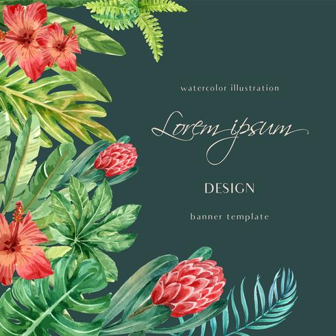 Botanical Tropical Watercolor Design vector