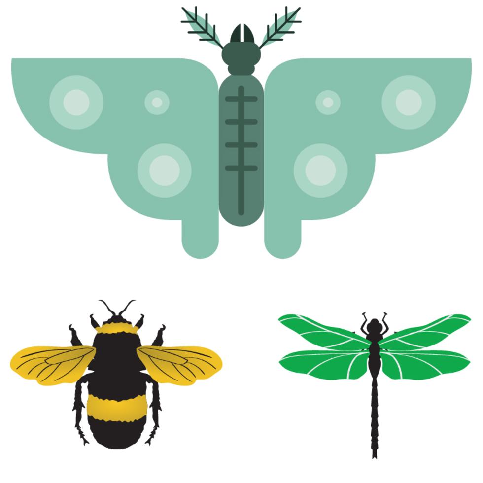 Bugs with wings set - Download Free Vectors, Clipart Graphics & Vector Art