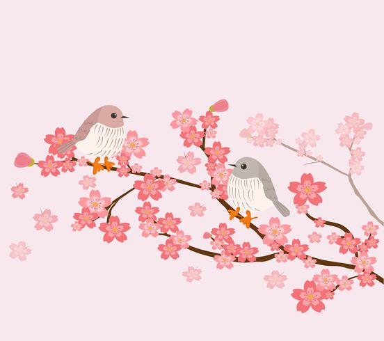 cute birds with cherry tree  vector