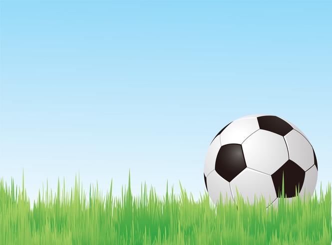 Soccer ball in field  vector