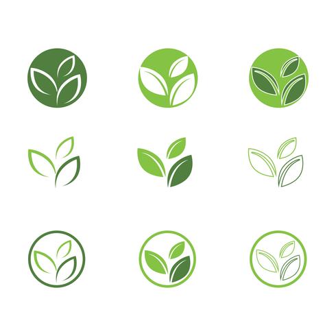 Green Tree leaf ecology set vector