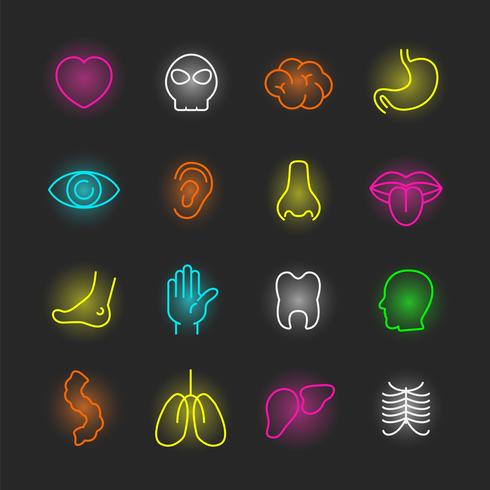 organ neon icon set vector