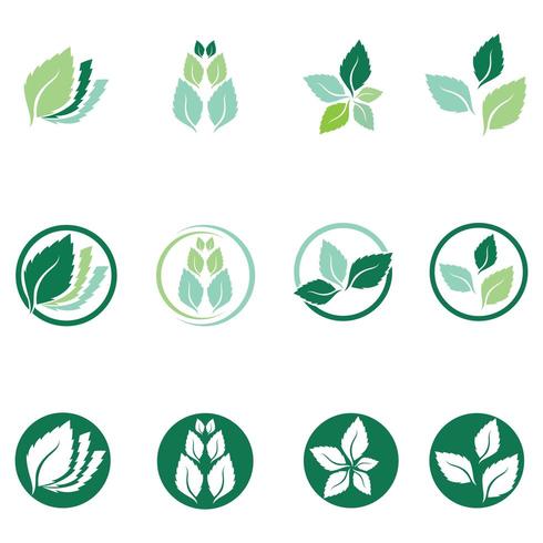 Mint leaves flat vector color icon