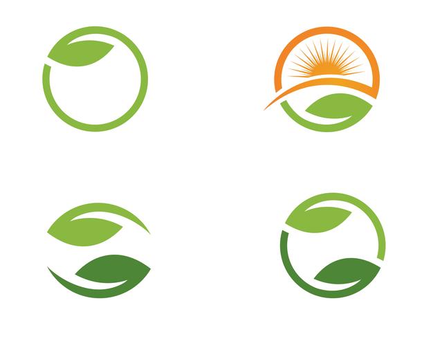 Green leaf element set vector