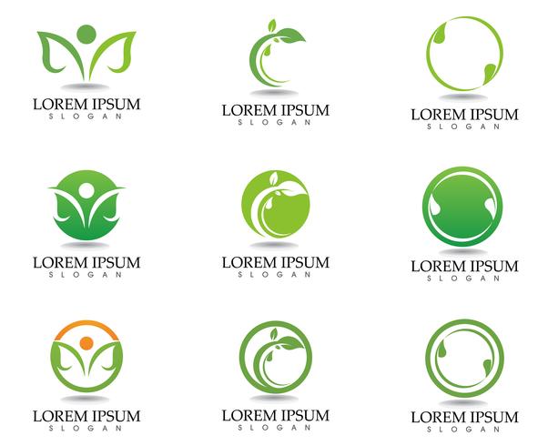 Tree leaf vector logo design, eco-friendly concept.