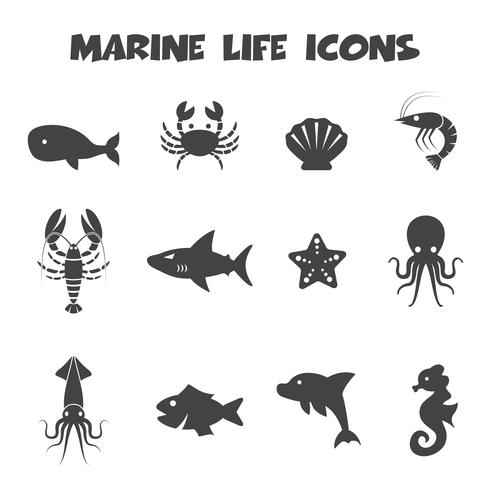 marine life icons vector