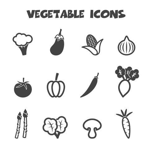 vegetable icons symbol vector