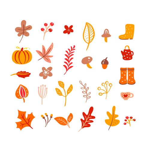 Elementos de otoño. Setas, bellotas, hojas de arce y calabaza aislado sobre fondo blanco. vector