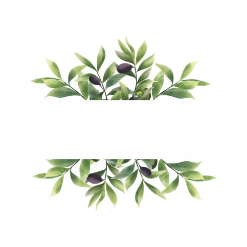 watercolor style olive leaf frame with space for text vector