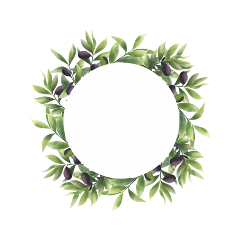 Olive Leaf Frame In A Watercolor Style Download Free Vectors Clipart Graphics Vector Art