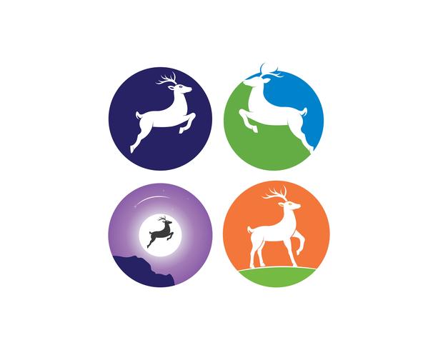 reindeer illustration design template vector
