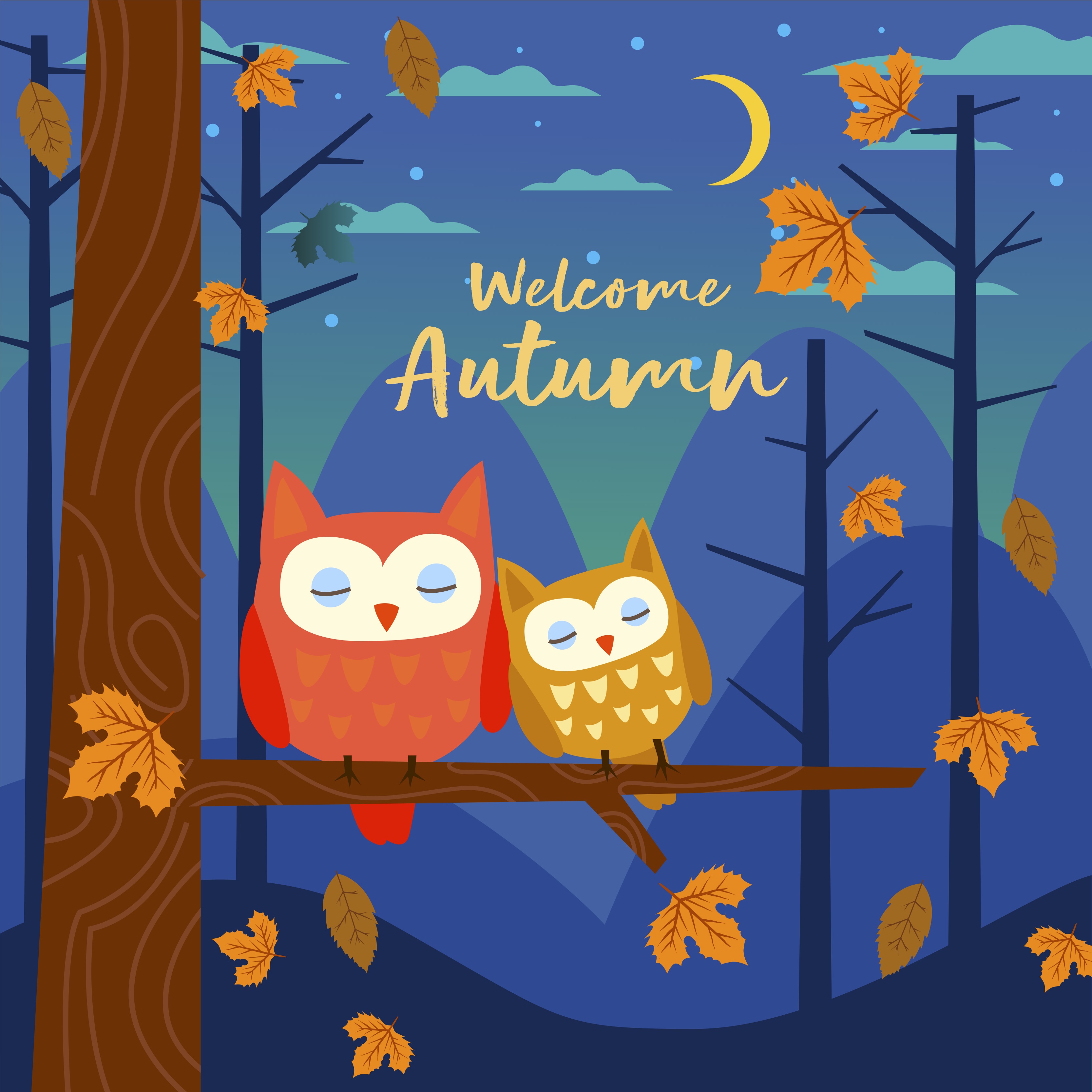 Download Cute Owls Sleeping In the Forest At Night In Autumn Fall ...