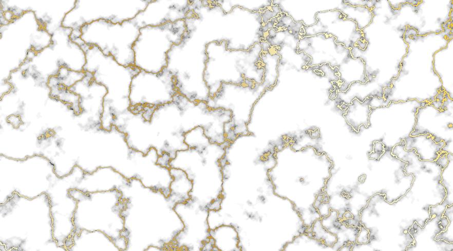 Marble with gold texture vector