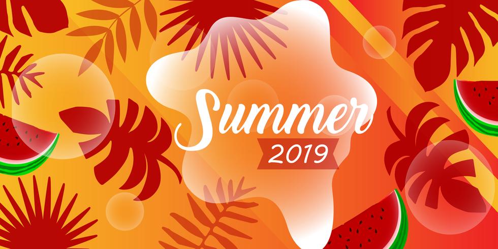 Summer card template  vector