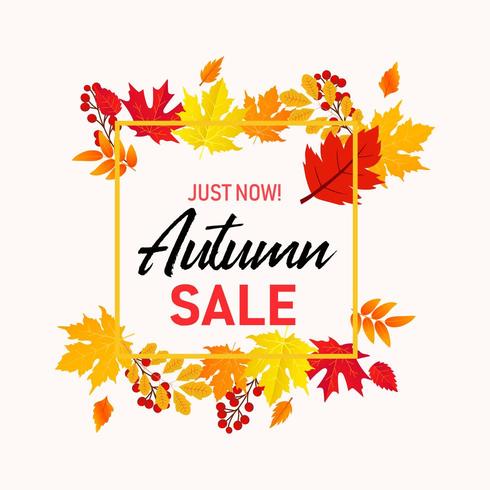 Autumn sale banner background with fall leaves Vector