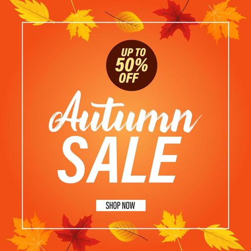 Autumn sale banner background with fall leaves Vector
