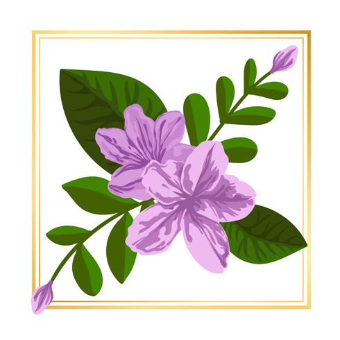 Light poink Framed Flower  vector