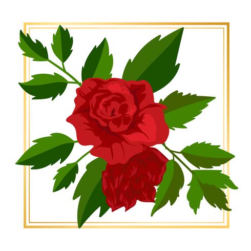 Framed Rose Flower  vector