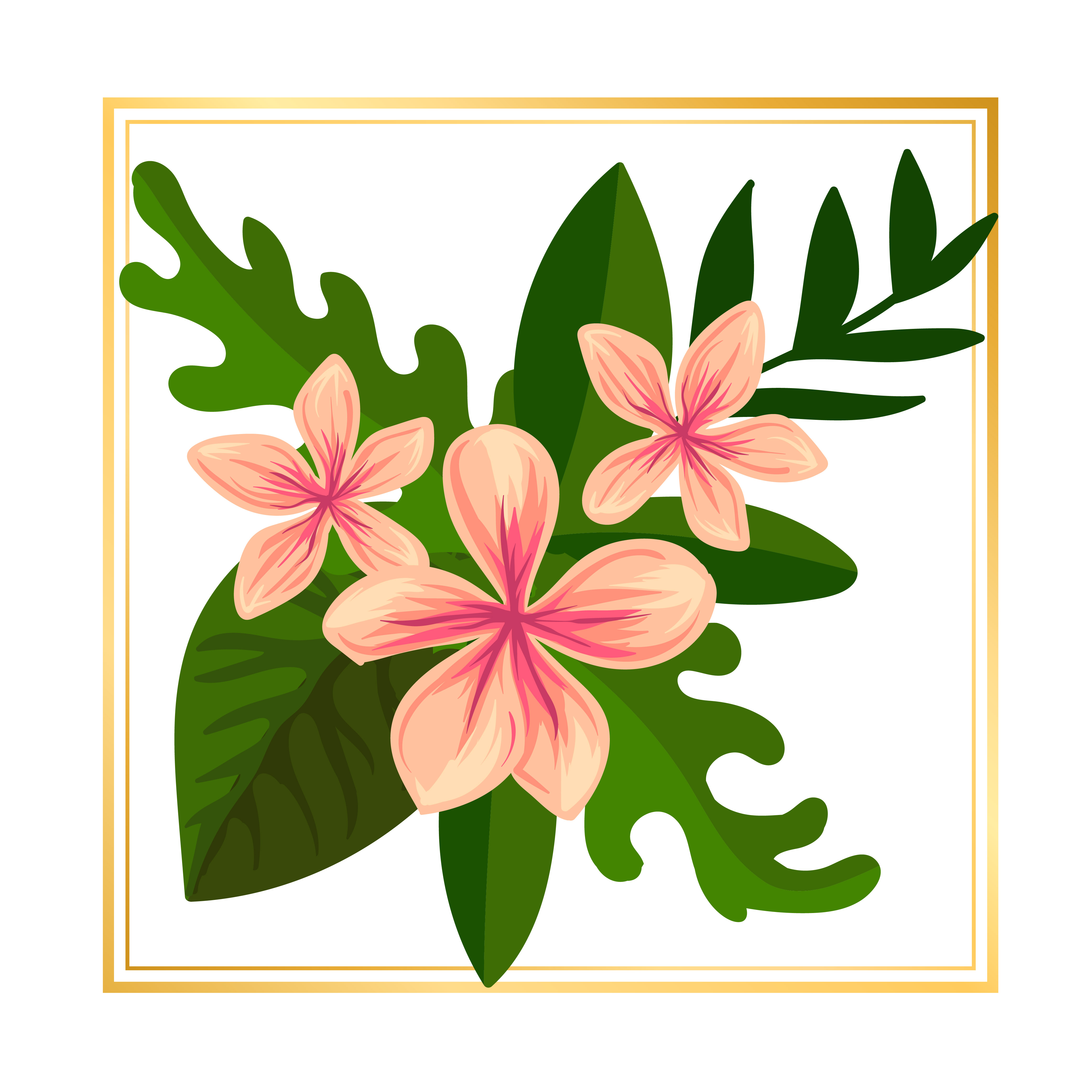 Framed orange Floral Vector 675854 Vector Art at Vecteezy