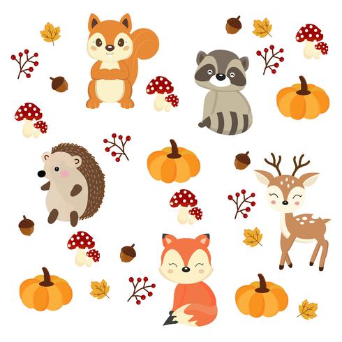 Cute woodland animals with Autumn elements vector