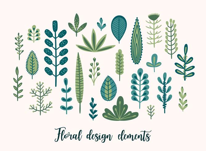 Floral set with cute herbs and leaves. vector