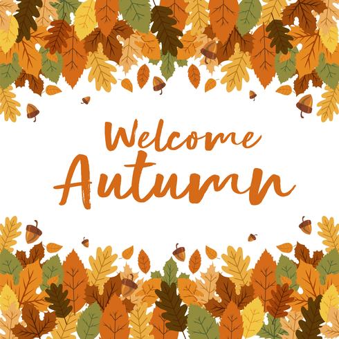 Welcome Autumn Floral Leaves Background With Nuts vector