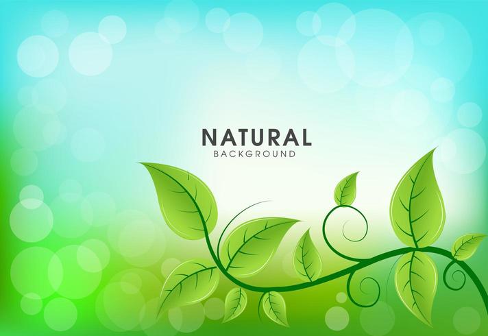 Ecology background with green leaves  vector