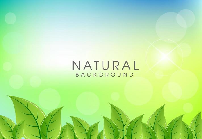 Natural background with Green leaves background vector