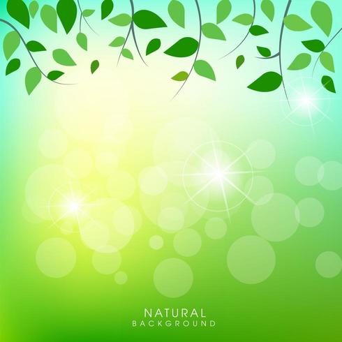 Natural background with green leaves background vector