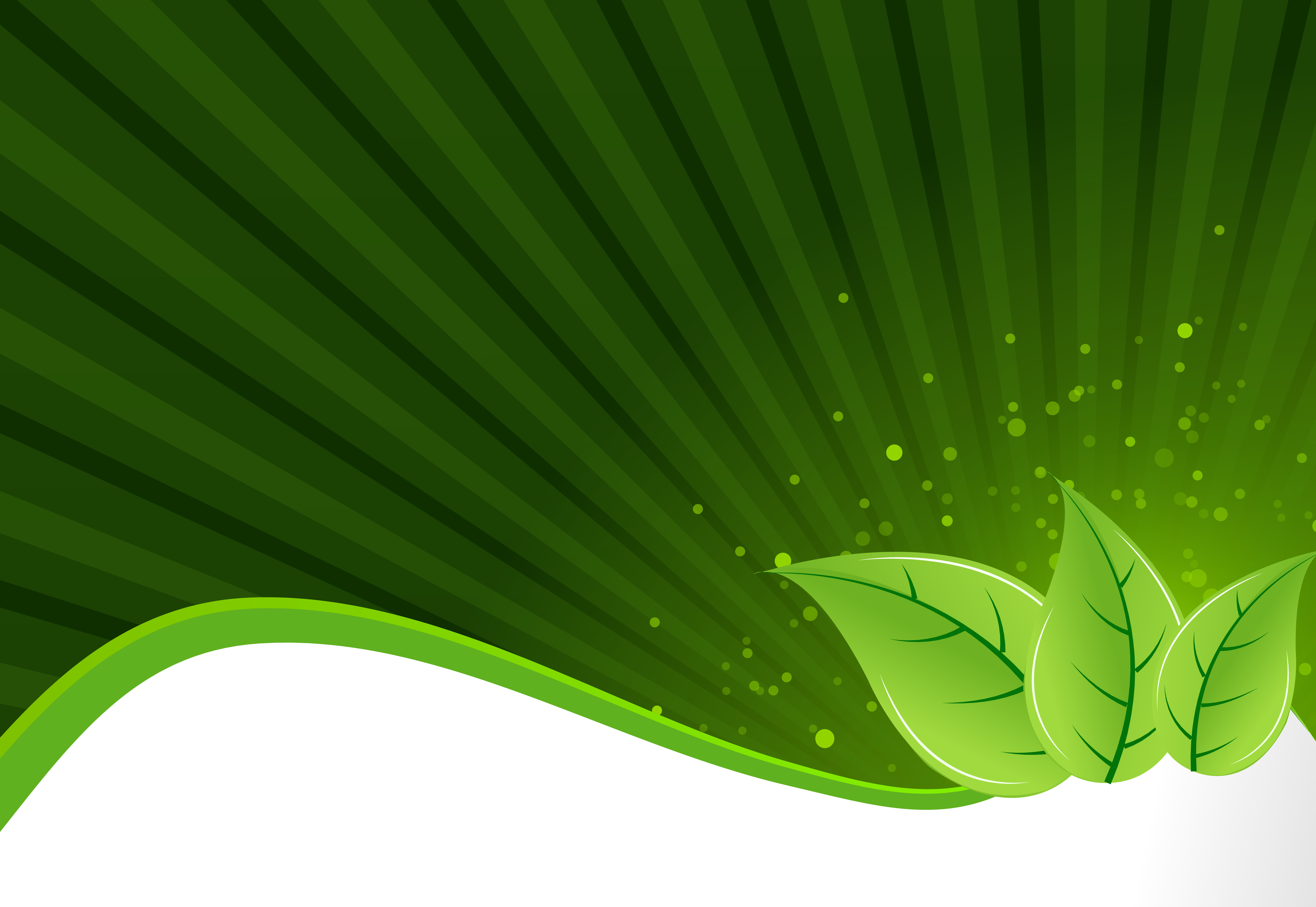 Flyer Hintergrund mit grünen Blättern - Download Kostenlos Vector